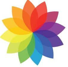 colour wheel