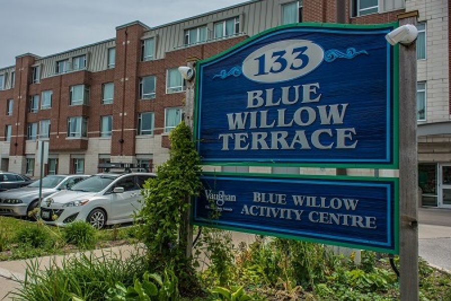 Blue Willow Image