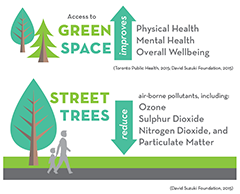 Access to green space improves physical health, mental health and overall well being. Street trees reduce air-borne pollutants, including ozone, sulphur dioxide, nitrogen dioxide and particulate matter
