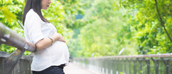 Transition to Parenting Program